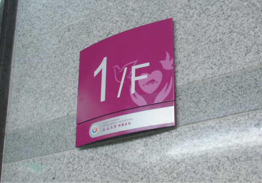 ����¥���������